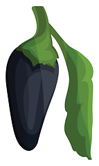 Image showing Dark blue chilli pepper with green leaf vector illustration of v