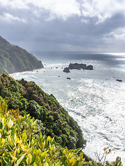 Image showing rough coast at south island New Zealand