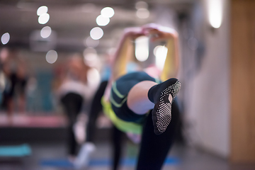 Image showing sporty women doing aerobics exercises