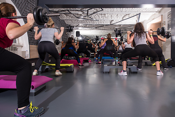 Image showing sporty women using barbells while exercises