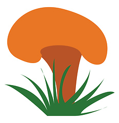 Image showing Yellow mushroom plant vector or color illustration