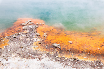 Image showing hot sparkling lake in New Zealand