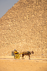 Image showing horse driver at the pyramids of Giza Cairo Egypt