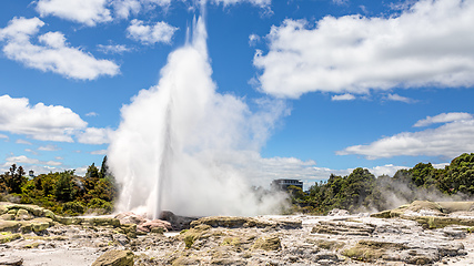 Image showing Geyser in New Zealand Rotorua