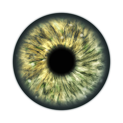 Image showing dark green brown human iris