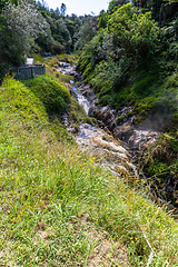 Image showing volcanic activities at waimangu