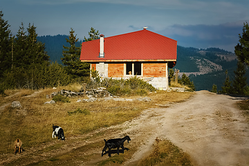 Image showing House in the Rhodopes Mountains