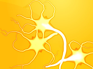 Image showing Nerve cells illustration