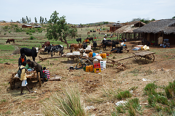 Image showing Malagasy peoples on farm in rural Madagascar