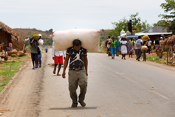 Image showing Malagasy man transport cargo on head