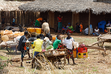 Image showing Malagasy peoples on farm in rural Madagascar