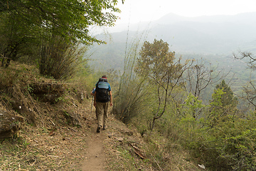 Image showing Hiking in Nepal jungle forest