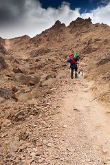 Image showing Trekking in Negev dramatic stone desert, Israel 