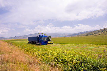 Image showing combine machine loading bunker of the truck