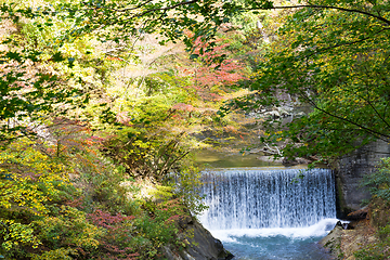 Image showing Autumn forest and waterfall