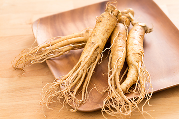 Image showing Fresh ginseng root over wooden background