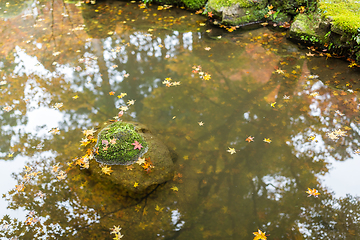 Image showing Autumn season landscape in Japanese garden