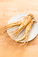 Image showing Fresh Korean Ginseng on plate