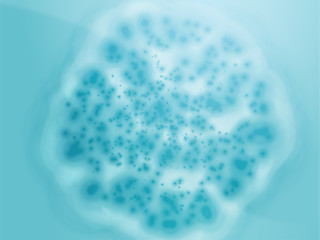 Image showing Bacterial cell growth illustration