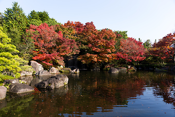 Image showing Traditional Japanese Kokoen Garden with maple tree