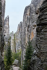 Image showing sandstone rocks - Prachovske skaly (Prachov Rocks)