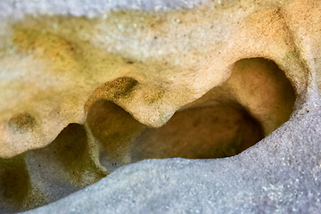 Image showing Close up erosion holes of sandstone rock