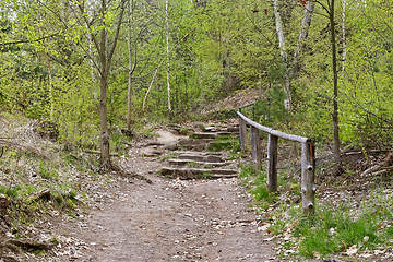 Image showing trail in forest, Prachovske skaly (Prachov Rocks)