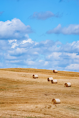 Image showing Haystacks on the Field