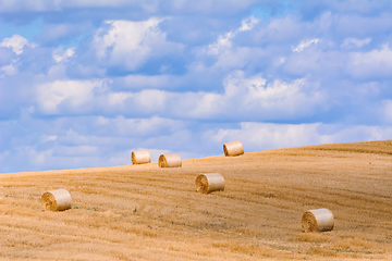 Image showing Haystacks on the Field