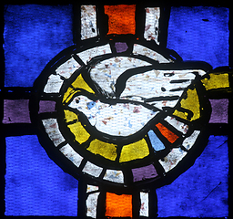 Image showing Holy Spirit Bird, stained glas