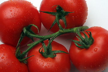 Image showing Tomato