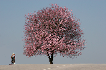 Image showing Saint Florian and tree in bloom in the earliest springtime