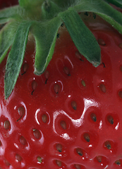 Image showing Fresh strawberries