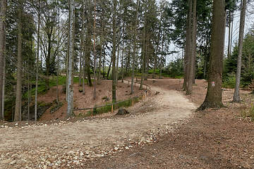 Image showing trail in forest, Prachovske skaly (Prachov Rocks)