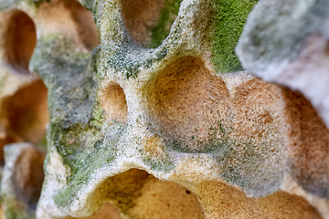 Image showing Close up erosion holes of sandstone rock