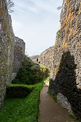 Image showing ruin of medieval gothic castle Trosky