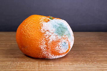 Image showing rotten and moldy orange