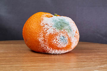 Image showing rotten and moldy orange