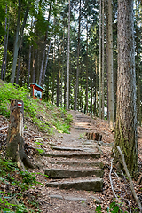 Image showing forest near village Mala Skala, Bohemian Paradise