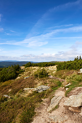 Image showing view from mountains in National Park Krkonose