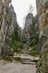 Image showing sandstone rocks - Prachovske skaly (Prachov Rocks)