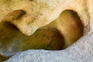 Image showing Close up erosion holes of sandstone rock