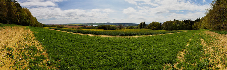 Image showing landscape panorama with field and forest