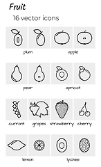 Image showing collection of fruit icons