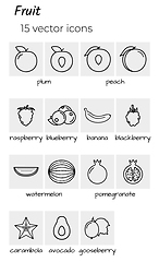 Image showing collection of fruit icons