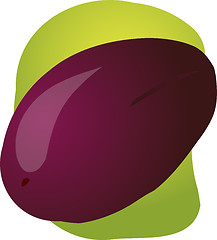 Image showing Plum fruit illustration