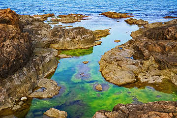 Image showing Rocky Coast