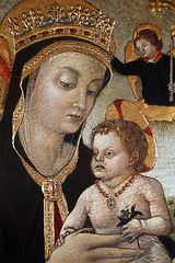 Image showing Vittore Crivelli: Madonna with Child