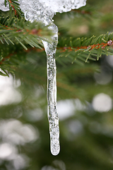 Image showing Eiszapfen  icicle