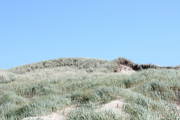 Image showing Dünen Dunes 